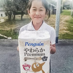 トイレットペーパー penguin
